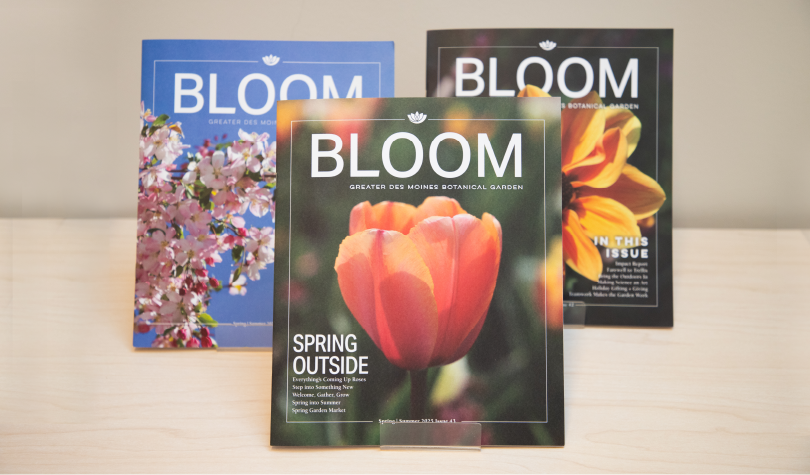 BLOOM-1